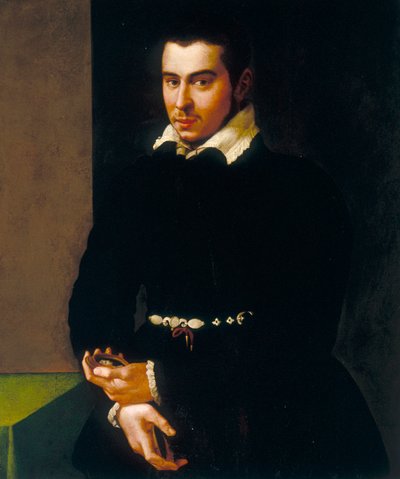 Porträt eines Gentlemans von Jacopino del Conte